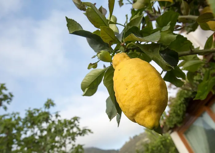Mendolita Lipari (Isola Lipari)