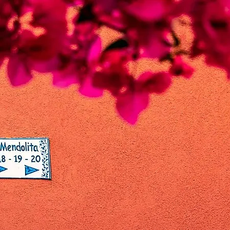 Aparthotel Mendolita 4*