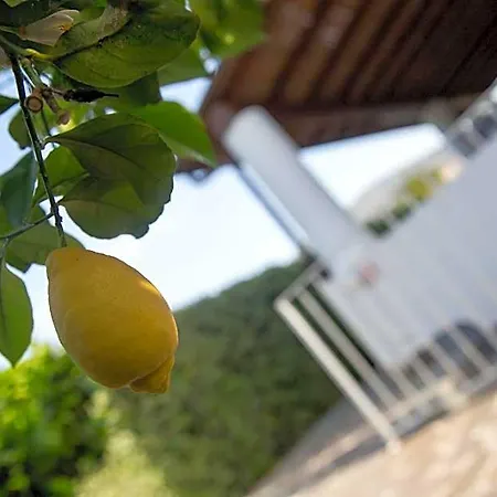 Ξενοδοχείο με διαμερίσματα Mendolita Λίπαρι