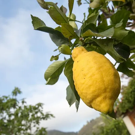 Mendolita Lipari (Isola Lipari)
