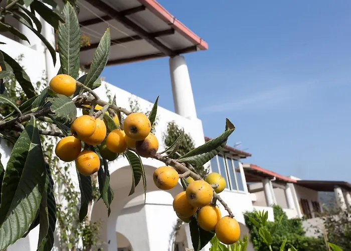 Mendolita Hotel apartamentowy